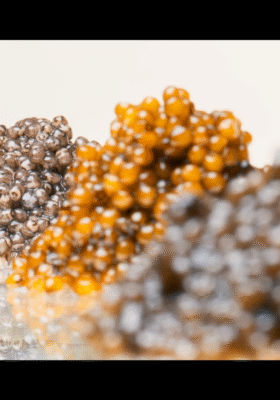 Captura de pantalla 2024-04-16 104859